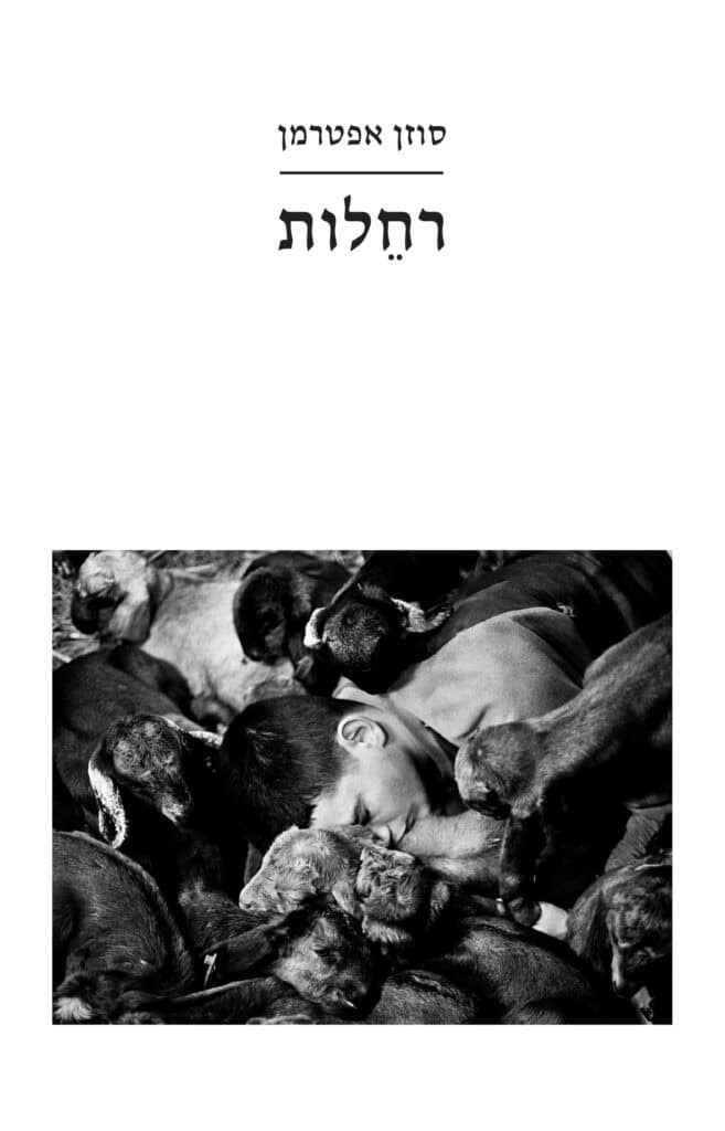 רחלות - סוזן אפטרמן