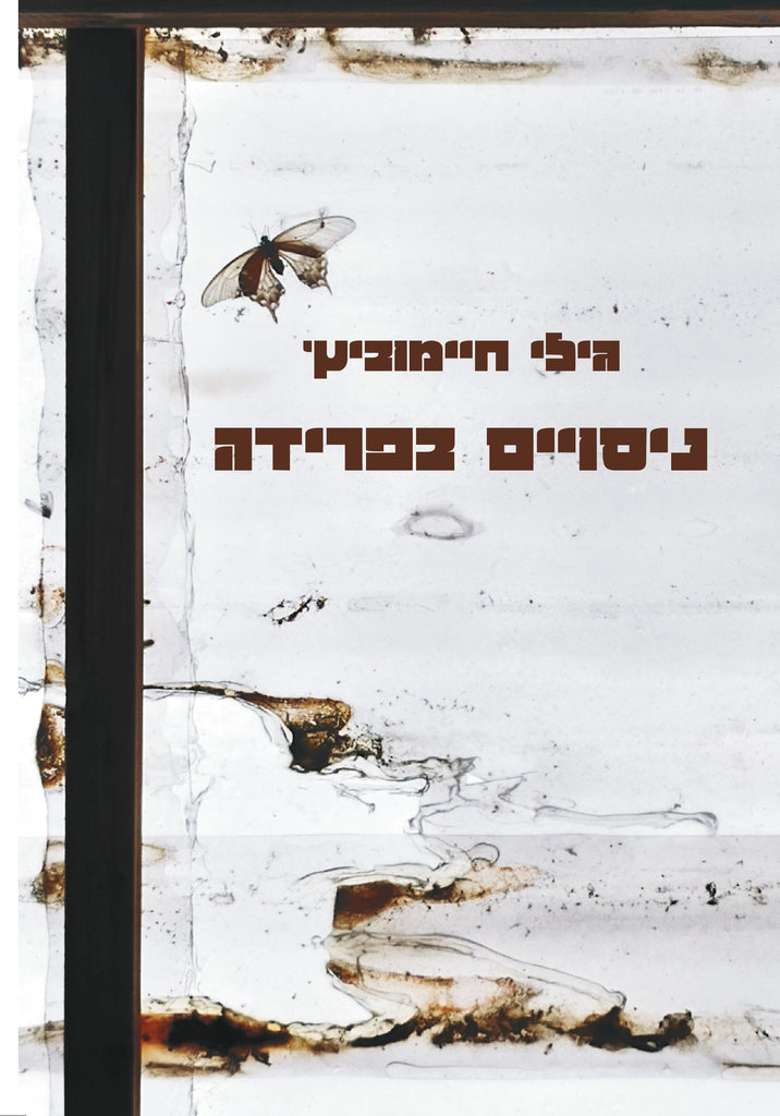 ניסויים בפרידה - גילי חיימוביץ'