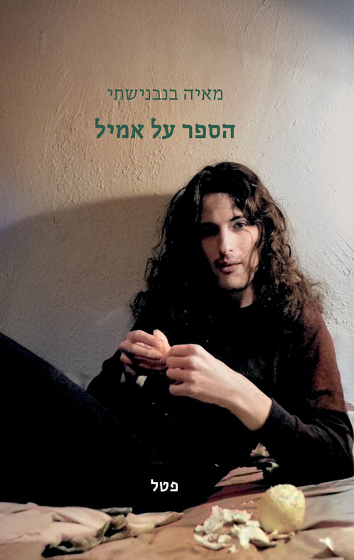 הספר על אמיל - מאיה בנבנישתי