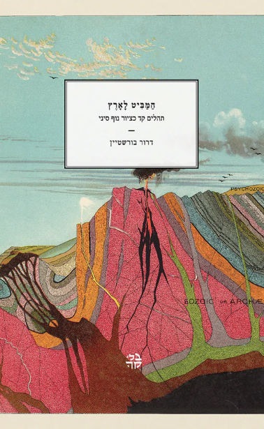 המביט לארץ - דרור בורשטיין