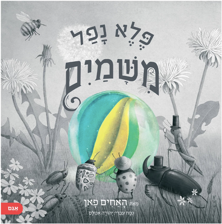 פלא נפל משמיים - האחים פאן