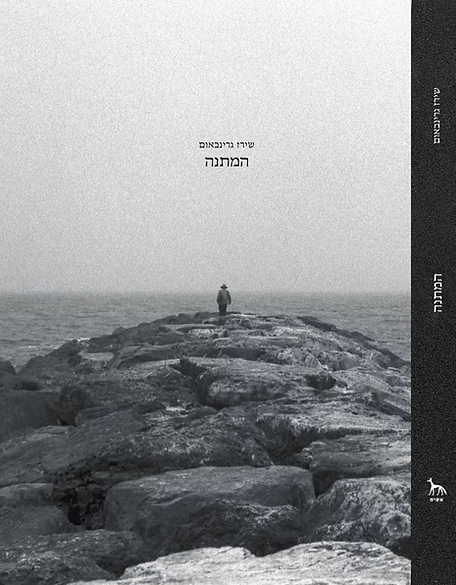 המתנה - שירז גרינבאום