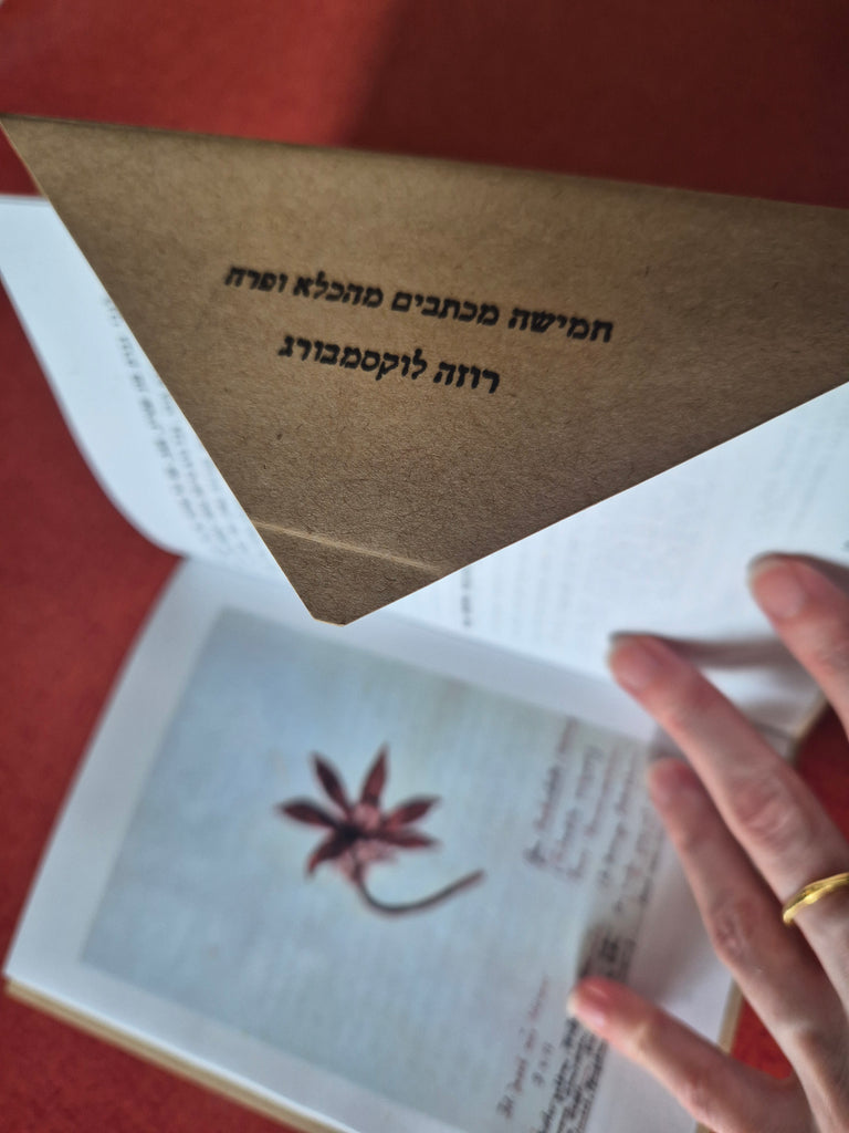 חמישה מכתבים מהכלא ופרח - רוזה לוקסמבורג