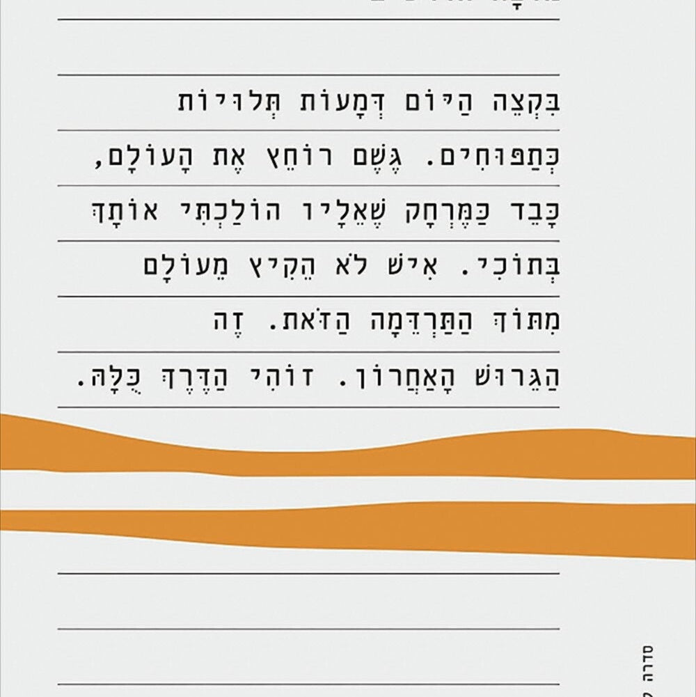 מוצא הדרכים - דנה אמיר