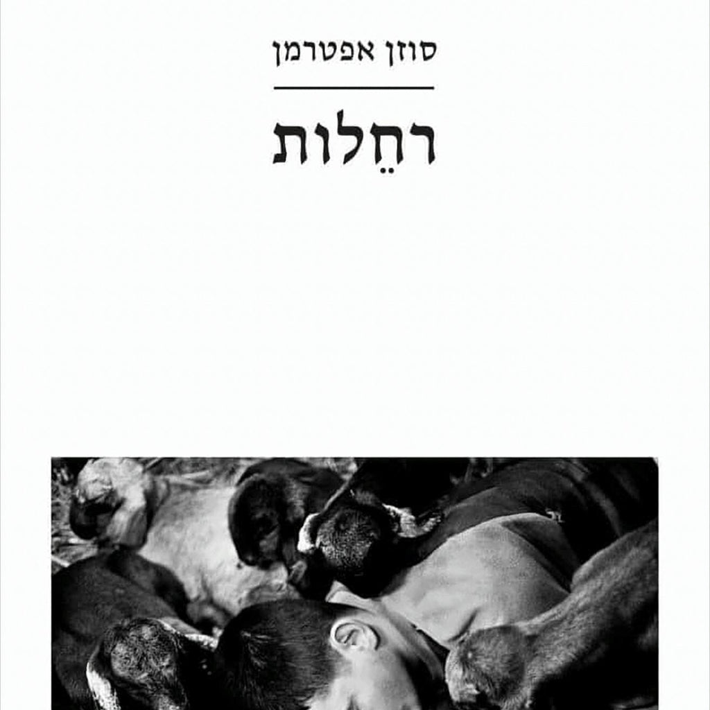 רחלות - סוזן אפטרמן