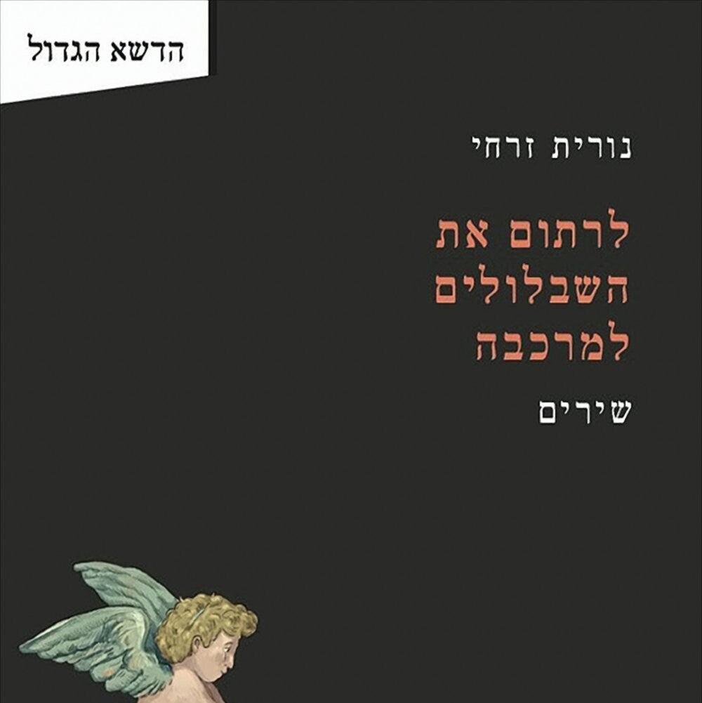 לרתום את השבלולים למרכבה - נורית זרחי