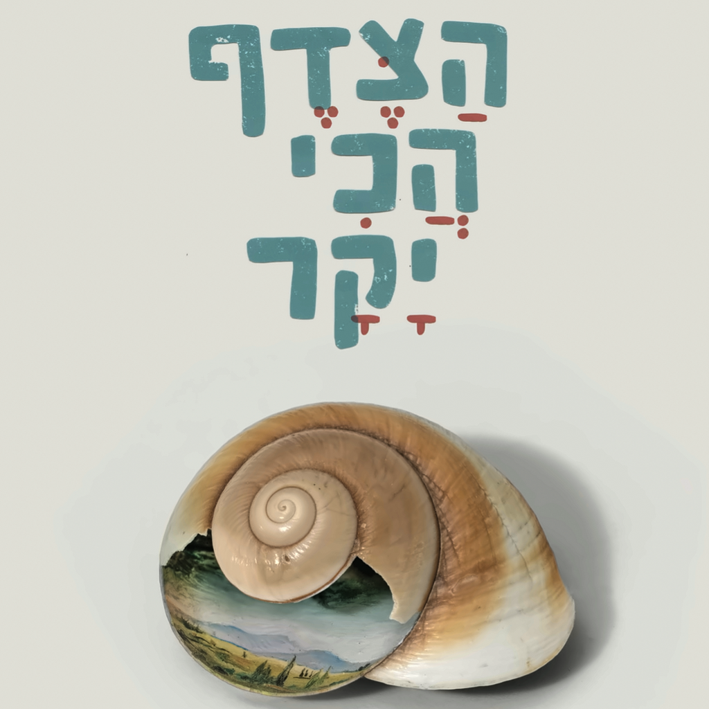 הצדף הכי יקר - מיה מיטב