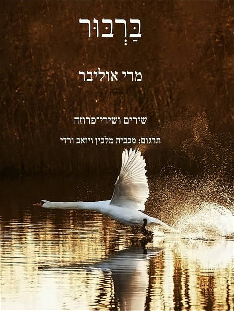 מרי אוליבר - ברבור