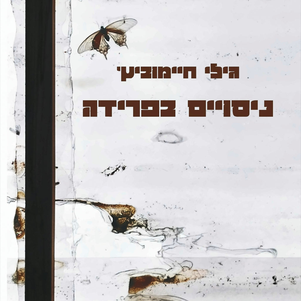 ניסויים בפרידה - גילי חיימוביץ'