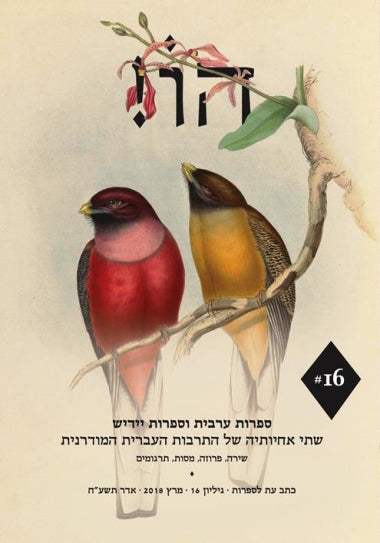 הו16