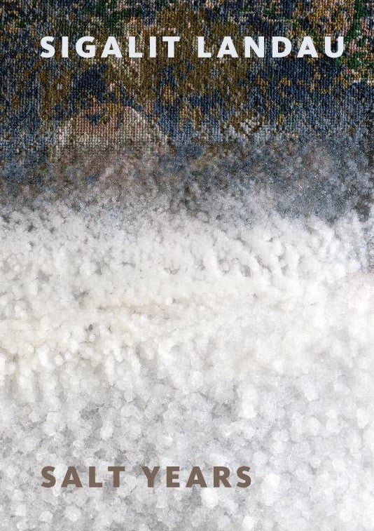 Sigalit Landau: Salt Years